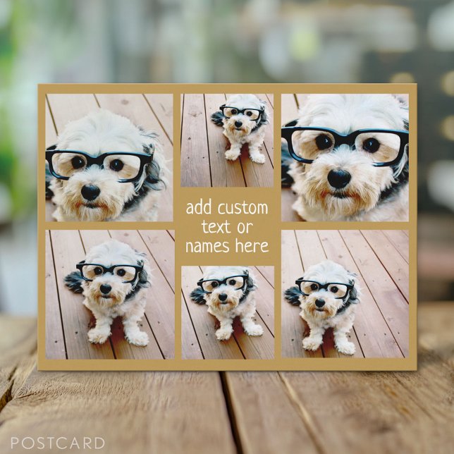 6 Photo Collage Minimalist - Gold and White Grid Postcard (Custom Photo Postcard)
