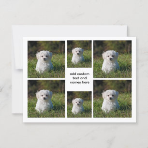 6 Photo Collage – White Grid Esthetic, Minimal Postcard