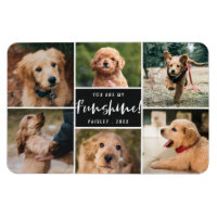6 Photo Collage You Are My Funshine | Black Pet