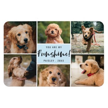 6 Photo Collage You Are My Funshine | Blue Pet Magnet by Orabella at Zazzle