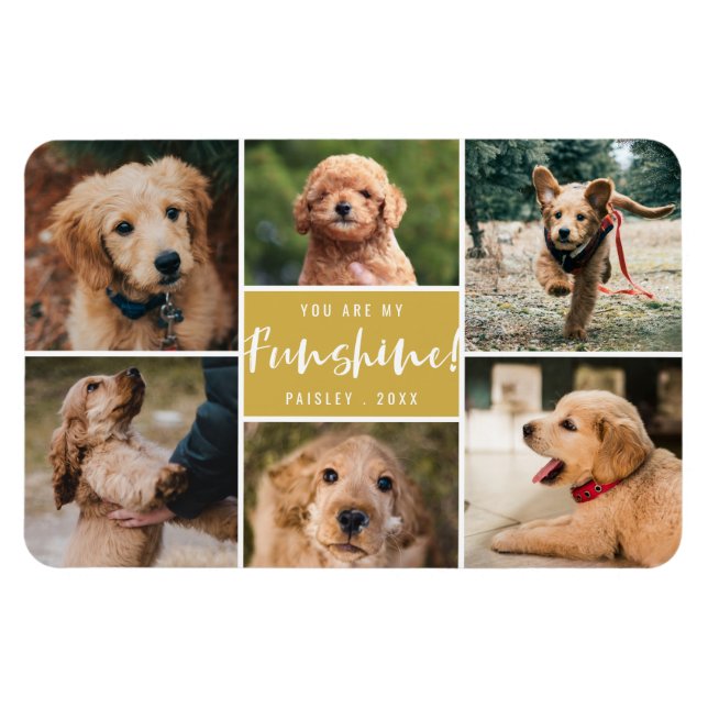 6 Photo Collage You Are My Funshine | Gold Pet Magnet (Horizontal)
