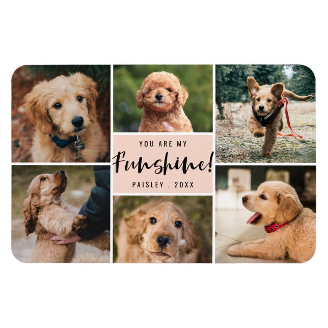 6 Photo Collage You Are My Funshine | Peach Pet Magnet (Horizontal)
