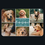 6 Photo Collage You Are My Funshine | Teal Pet Magnet<br><div class="desc">This modern styled photo magnet features stylish typography,  reading,  "You are my Funshine"!  Six photo templates are included to showcase your favorite photos! A text template is also included for name and year.  Color can be customized to any color you'd like!</div>