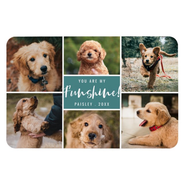 6 Photo Collage You Are My Funshine | Teal Pet Magnet (Horizontal)