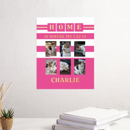 6 photos name animal lover cats pink white foil prints