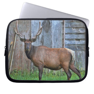 6 Point Bull Elk Photo Laptop Sleeve