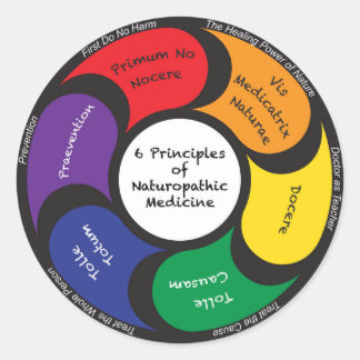 6 Principles of Naturopathic Medicine Sticker