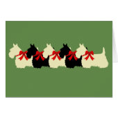 6 Scottish Terrier black/wheaten, bow / blank (Front Horizontal)