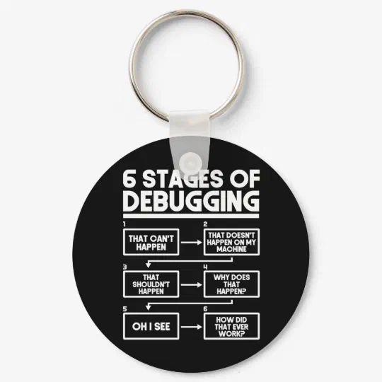 6 Stages Of Debugging Programmer Coding Keychain