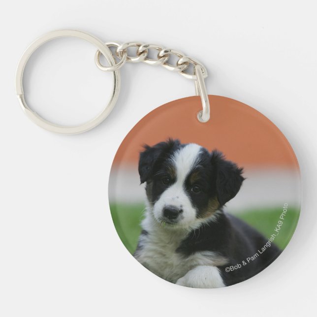 6 Week Old Border Collie Keychain (Front)