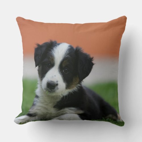 6 Week Old Border Collie Throw Pillow