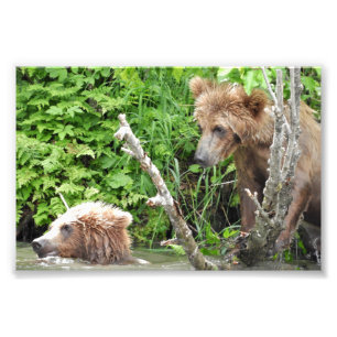 6" x 4", Kodak Professional Photo Paper (Satin) Print