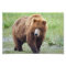 6" x 4", Kodak Professional Photo Paper (Satin)