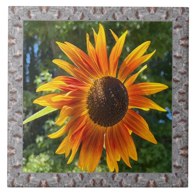 6"x 6" Ceramic Tile with Cheerful Orange Sunflower (Front)