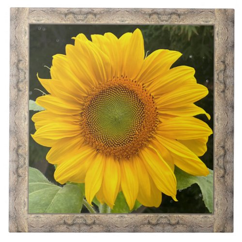6x 6 Ceramic Tile with Cheerful Yellow Sunflower