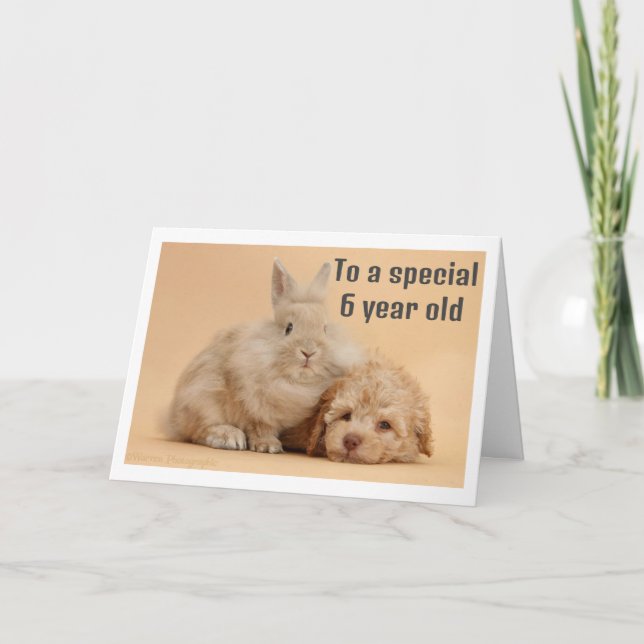 **6 YEAR OLD GIRL'S BIRTHDAY** CARD (Front)