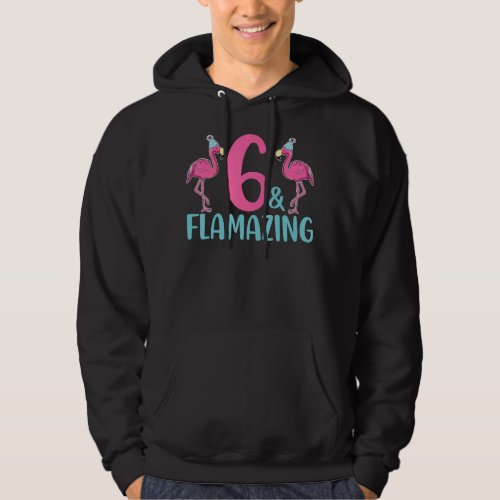 6 Years Old Flamazing  Flamingo  6th Birthday Pun Hoodie