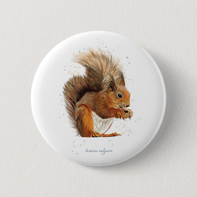 6cm Round Badge Featuring the Red Squirrel Button (Front)