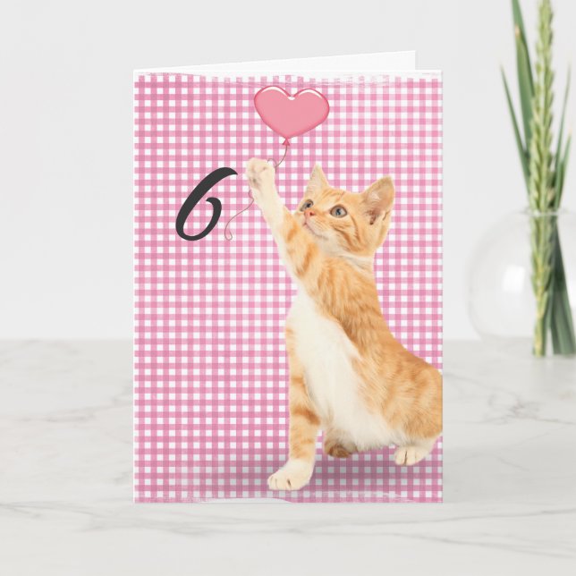 6th birthday tabby cat card (Front)