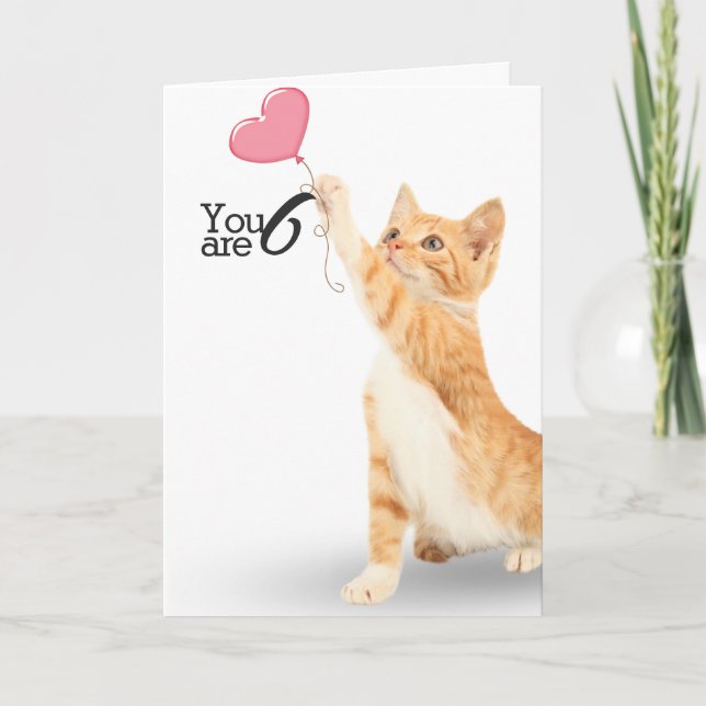 6th birthday tabby cat card (Front)