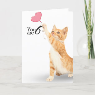 6th birthday tabby cat card