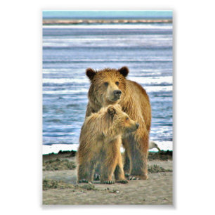 6x4 photo grizzly bear print