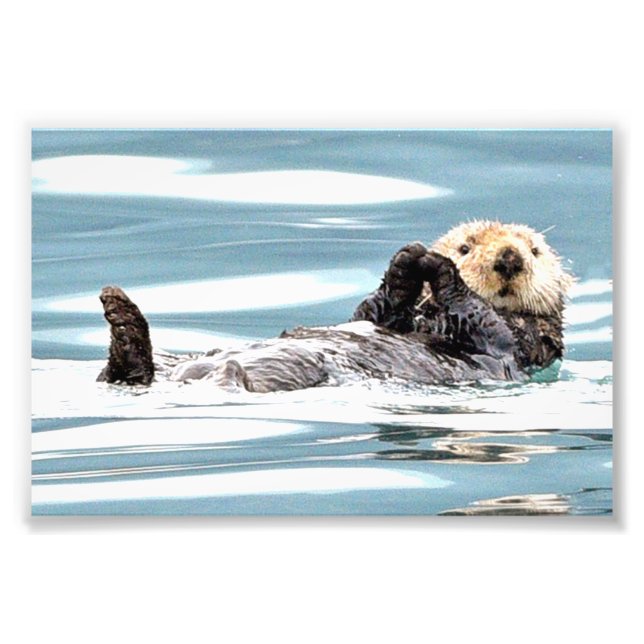 6x4 photo of otters (Front)