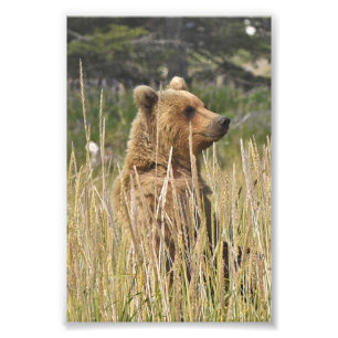  6x4 photo of  print