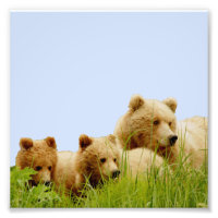 6x6 Kodak Professional Photo Paper (Satin)