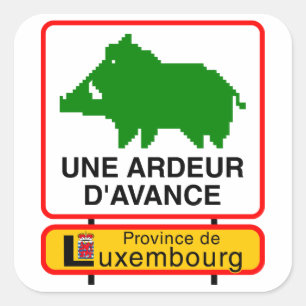 6x Sticker - ADVANCED