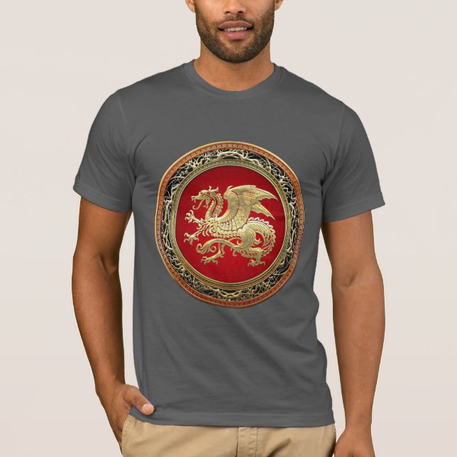 [700] Icelandic Dragon, Landvættir [Gold] T-Shirt (Front)