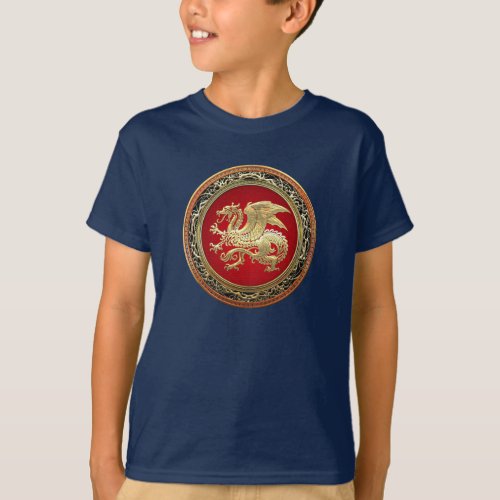 700 Icelandic Dragon Landvttir Gold T_Shirt