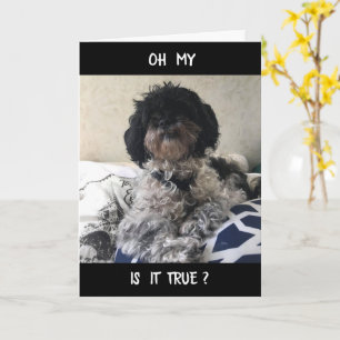 **70** LOOKS GREAT ON YOU! HAPPY BIRTHDAY CARD