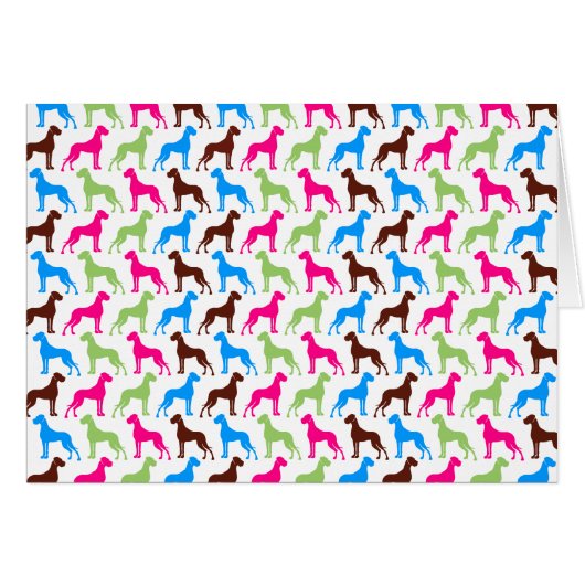 70ies great danes (Front Horizontal)