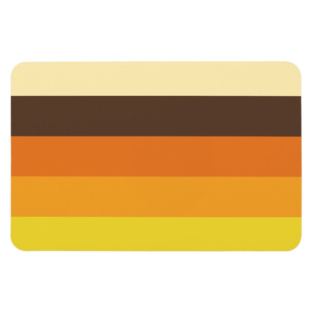 70s Retro Striped Color Pattern Magnet (Horizontal)