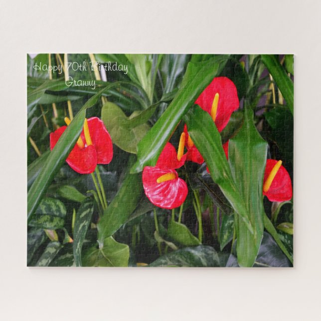 70th  Birthday Granny. Jigsaw Puzzle (Horizontal)