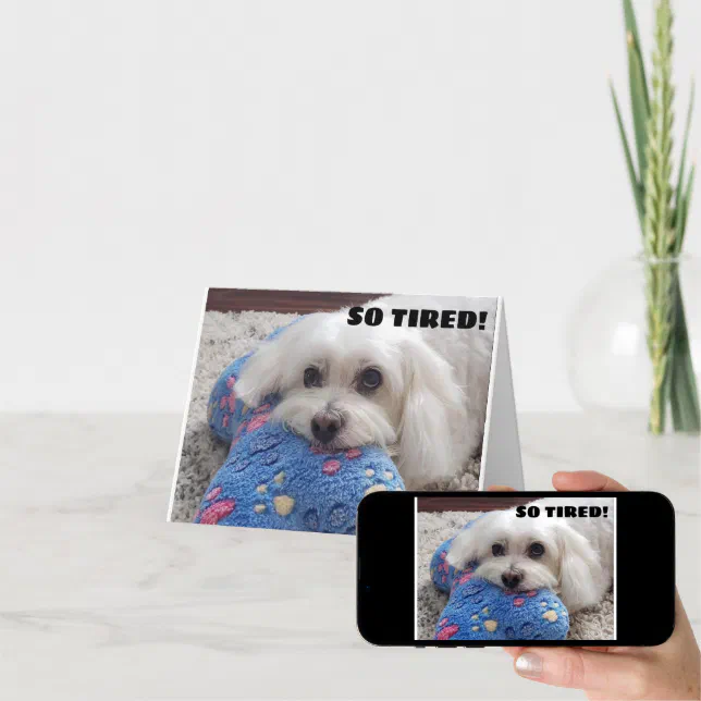 *70th BIRTHDAY* HA HA HA (FUNNY DOG HUMOR) Card | Zazzle