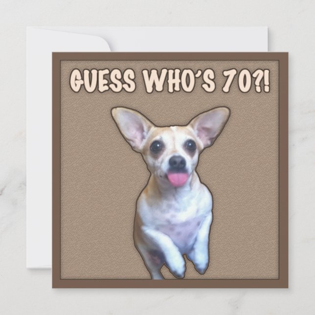 70th Birthday Humor (Dog) Card (Front)
