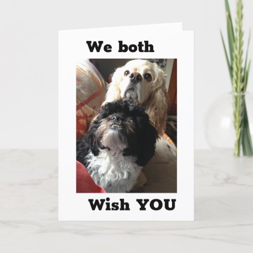 70th BIRTHDAY WISHES FROM BOTH OF US DOGS Card