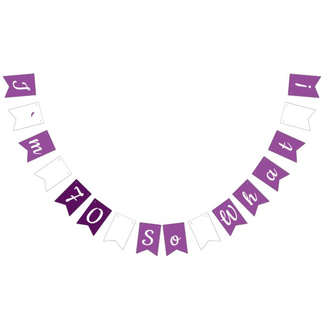 70th Funny and Motivational Birthday Party Bunting Flags (All)