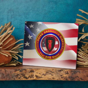 71st Explosive Ordnance Disposal Group Plaque