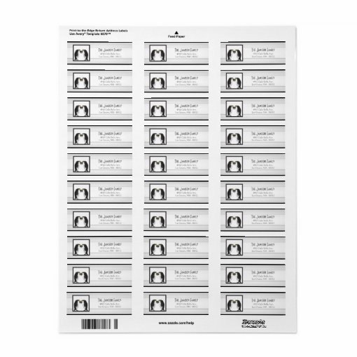 .75"x2.25" Return Address Label Penguins Mate Life | Zazzle