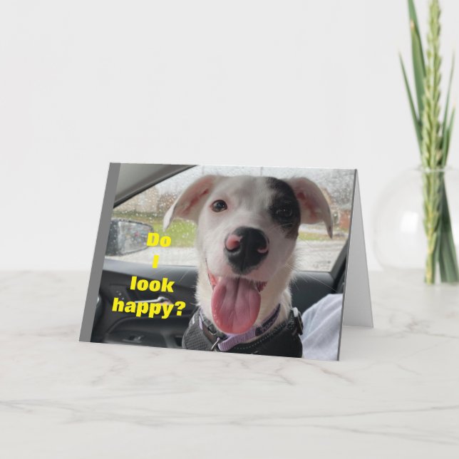 **75th BIRTHDAY*** HAPPY IT IS "YOU" NOT ME! Card (Front)