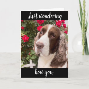 **75th & YOU ARE FABULOUS** ALWAYS! BIRTHDAY CARD