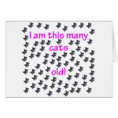 76 Cat Heads Old (Front Horizontal)