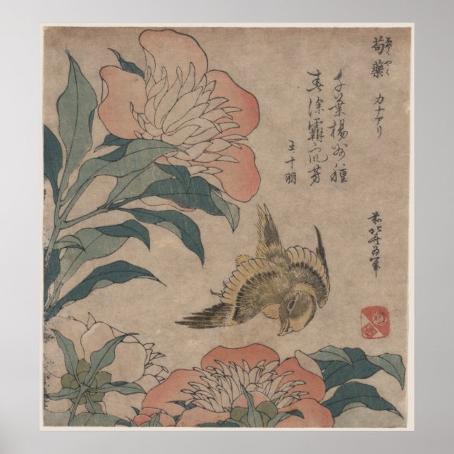775 ・ Peony and 700 ・ Katsushika Hokusai Poster (Front)