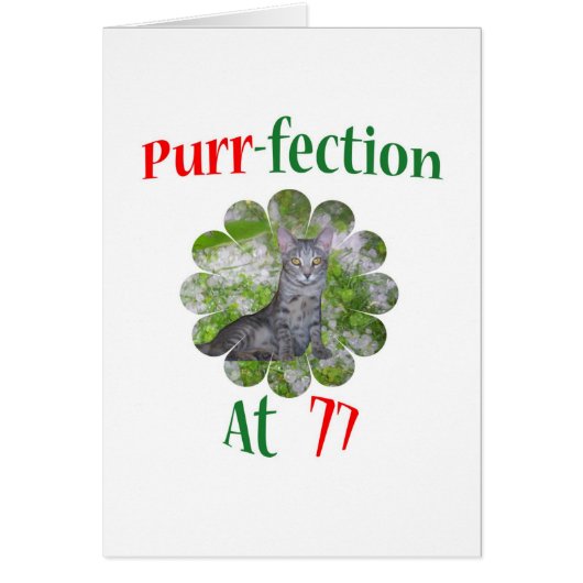 77 Purr-fection Cards (Front)