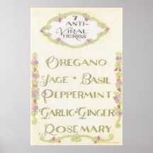7 Anti-Viral Herbs Poster