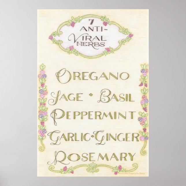 7 Anti-Viral Herbs Poster (Front)