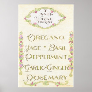 7 Anti-Viral Herbs Wall Art